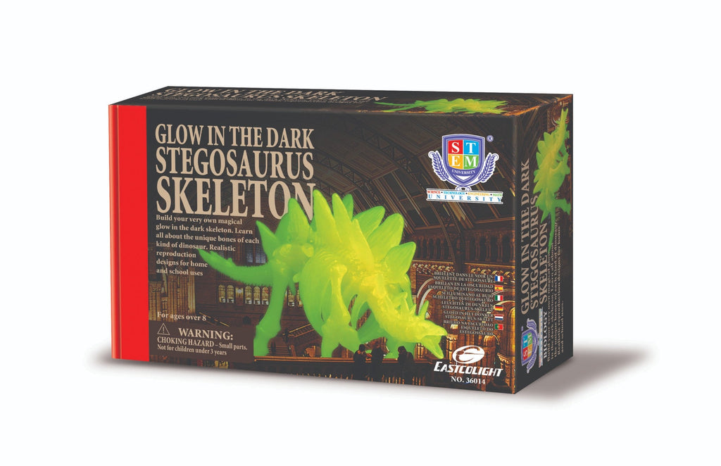 STEM Toy Collection 36014 DIY Stegosaurus Skeleton - stembanana Hong Kong