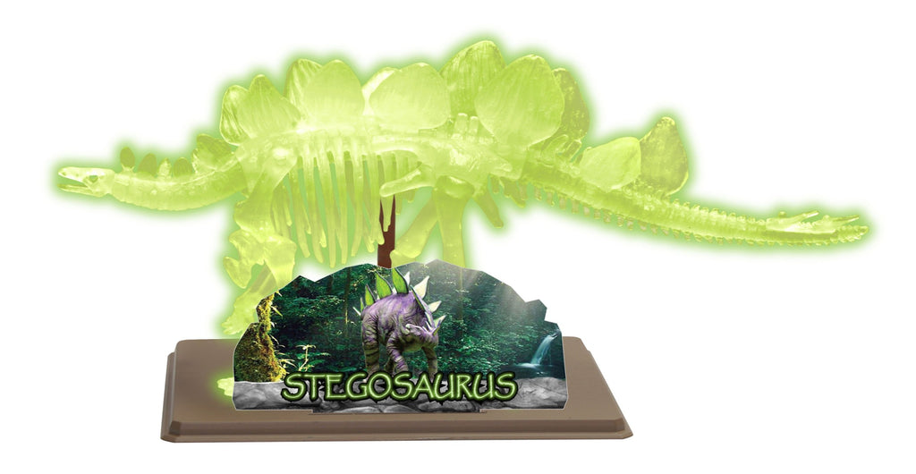 STEM Toy Collection 36014 DIY Stegosaurus Skeleton - stembanana Hong Kong