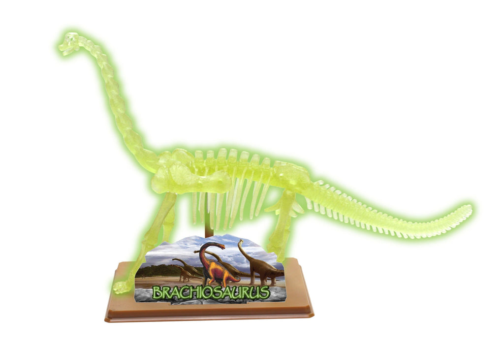 STEM Toy Collection 36017 DIY Brachiosaurus Skeleton - stembanana Hong Kong