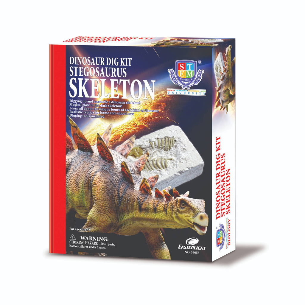Stem Toy Collection 36055 Stegosaurus Dig Kit - stembanana Hong Kong