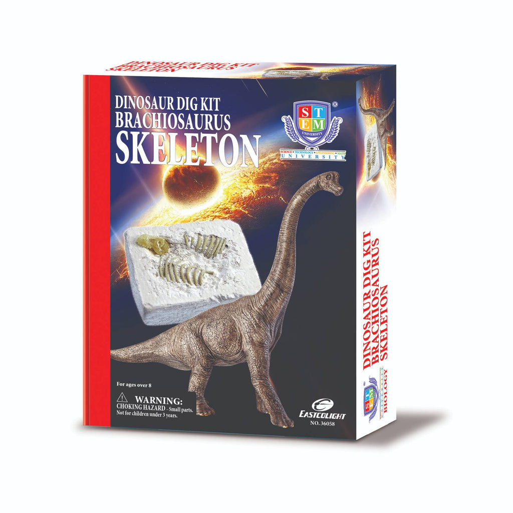 Stem Toy Collection 36058 Brachiosaurus Dig Kit - stembanana Hong Kong