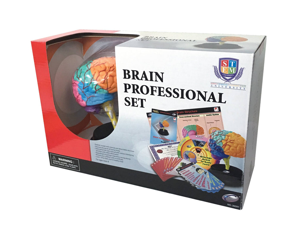 STEM Toy Collection 36091 Brain Professional Set - stembanana Hong Kong