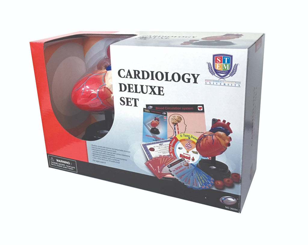 STEM Toy Collection 36094 Cardiology Deluxe Set - stembanana Hong Kong