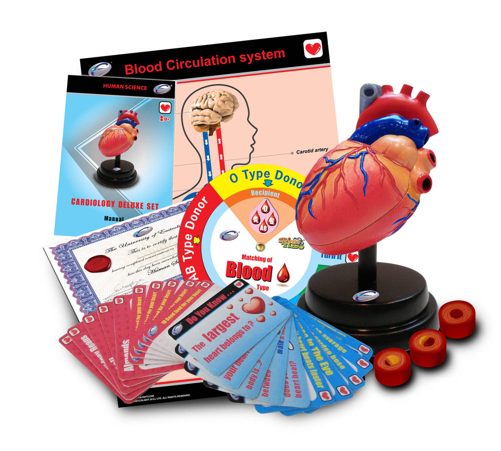 STEM Toy Collection 36094 Cardiology Deluxe Set - stembanana Hong Kong