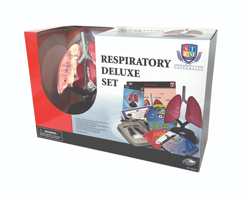 STEM Toy Collection 36095 Respiratory Deluxe Set - stembanana Hong Kong