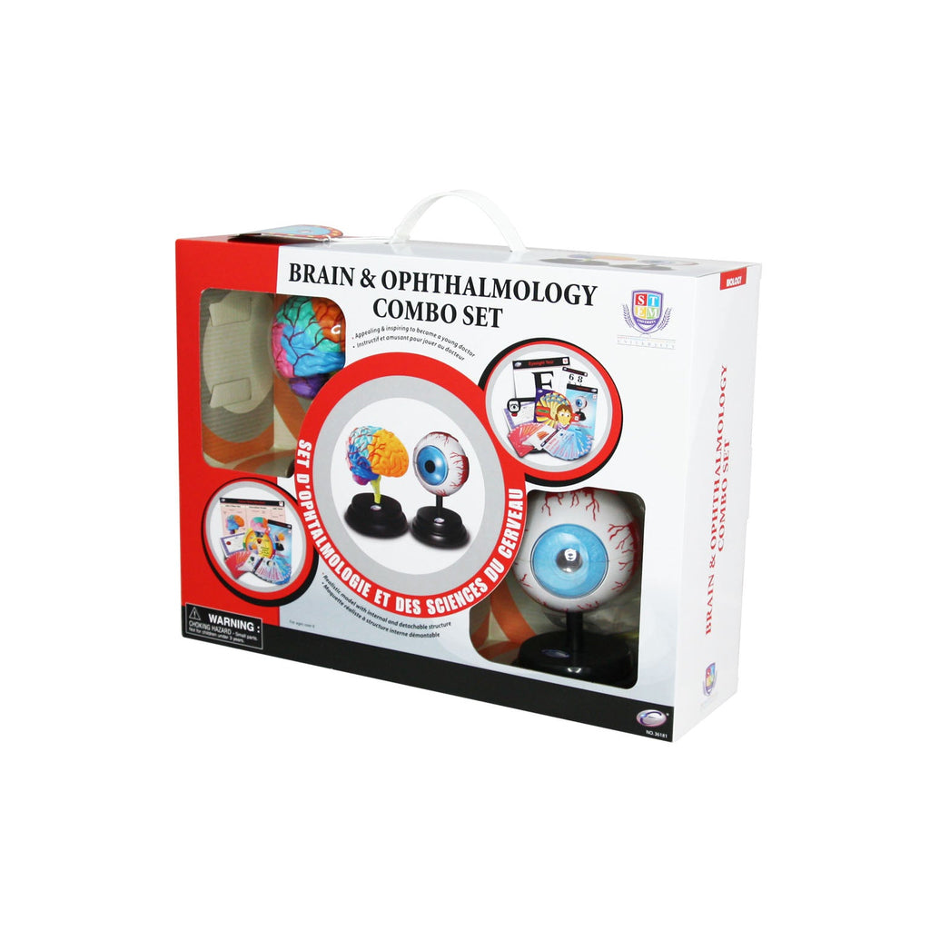 STEM Toy Collection 36181 Brain & Ophthalmology Combo Set - stembanana Hong Kong