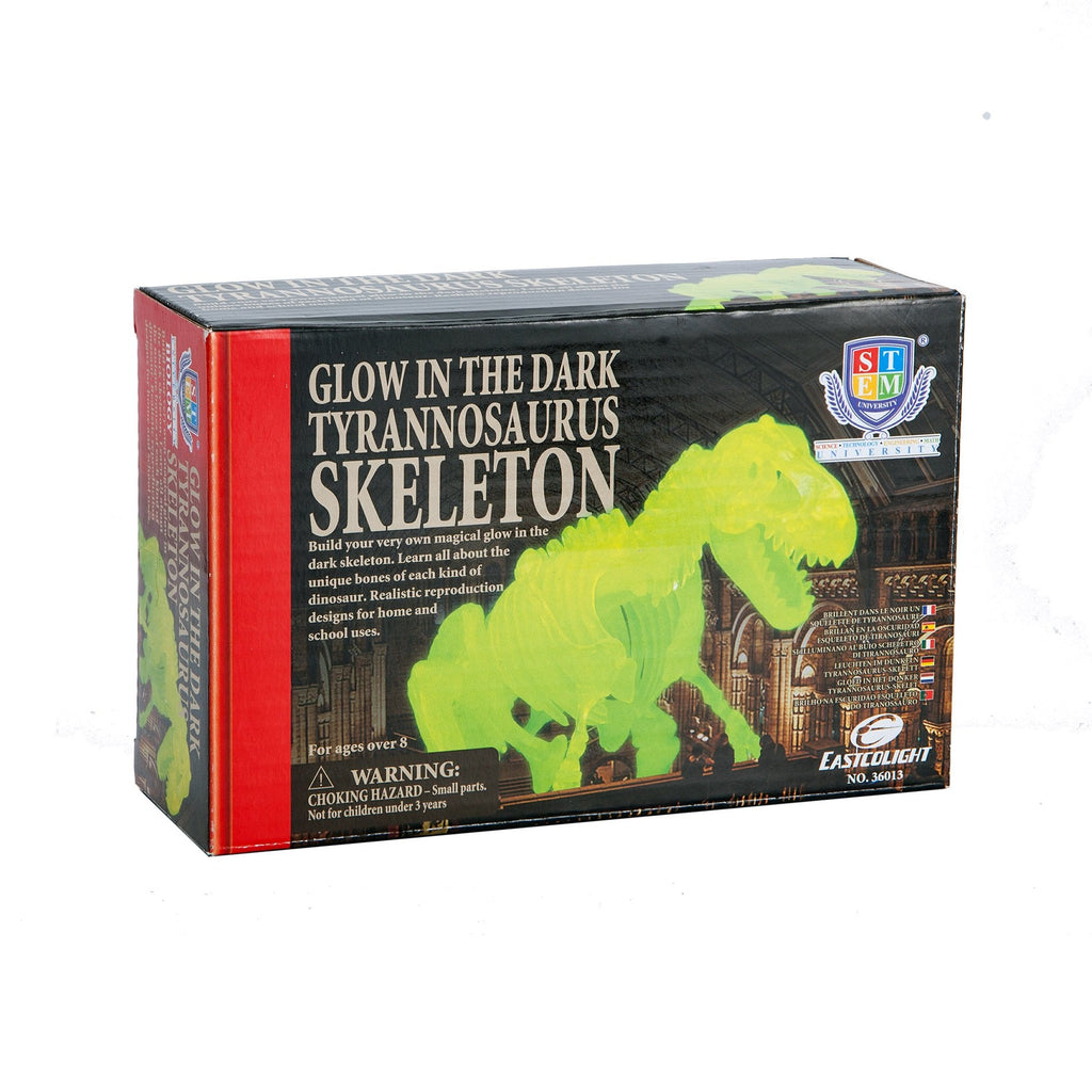 STEM Toy Collection  36013 Diy Tyrannosaurus Skeleton - stembanana Hong Kong